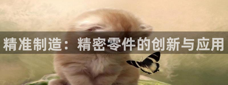 彩神通官方网