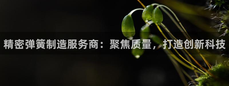 v大发彩神8iii