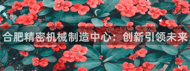 彩神盈利图片