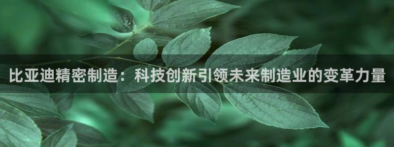 彩神vii官网：比亚迪精密制造：科技创新引领未来制造业的变革力量