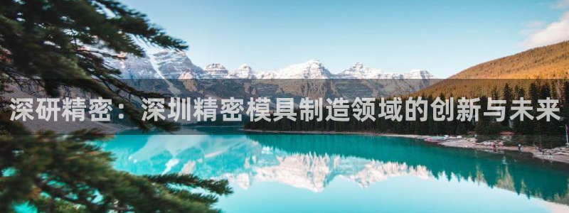 下载彩神乐发V1：深研精密：深圳精密模具制造领域的创新与未来