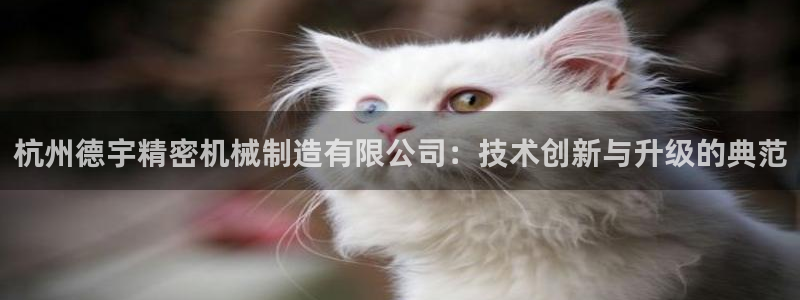 彩神购彩-购彩大厅入口下载