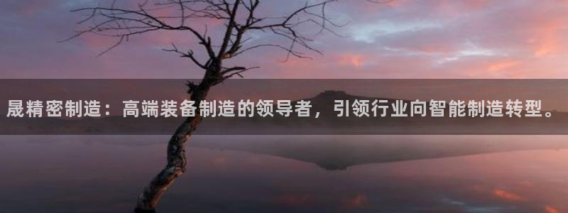 彩神大发是不是人为操作：晟精密制造：高端装备制造的领导者，引领行业向智能制造转型。
