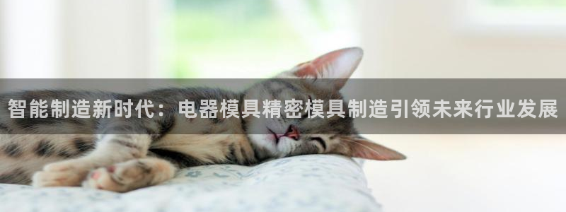彩神8软件下载