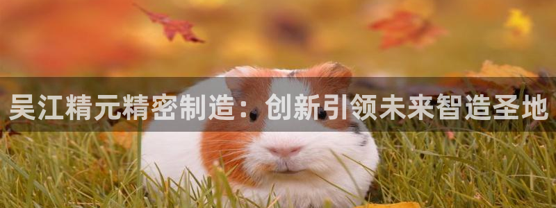 彩神app赚钱是真是