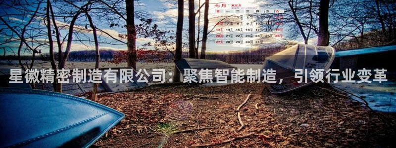 彩神vlll官网网上