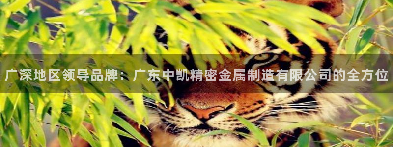 彩神v8是一个什么平台