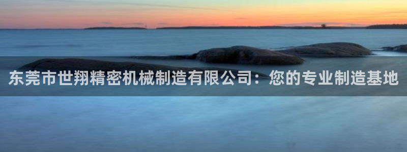彩神v8下载：东莞市世翔精密机械制造有限公司：您的专业制造基地