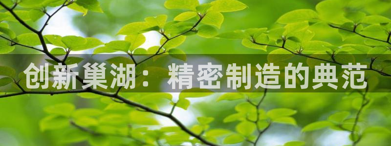 彩神争霸官方登录：创新巢湖：精密制造的典范