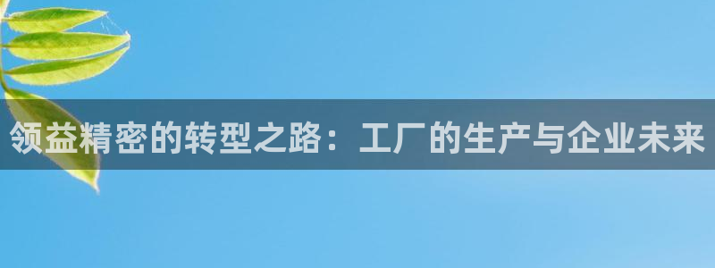 下载彩神v8：领益精密的转型之路：工厂的生产与企业未来
