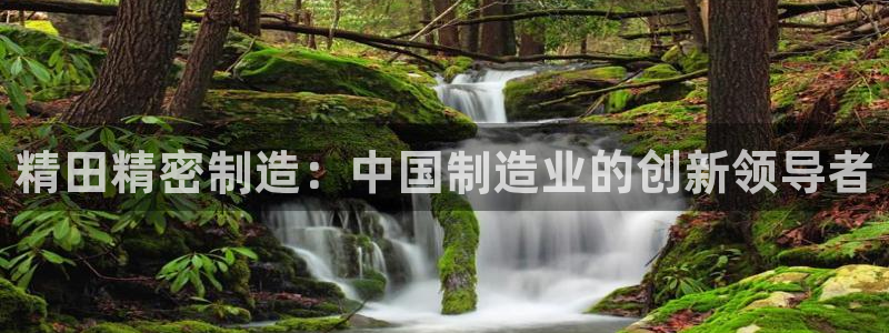 彩神8彩平台