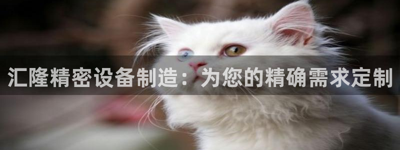 彩神ll能赚钱吗