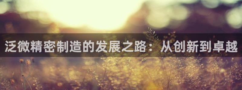 彩神V8平台